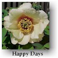 peony11.jpg (7158 bytes)