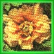 peony31.jpg (15960 bytes)