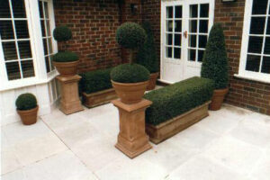 Formally pruned topiary bushes in planters against a brick house façade.