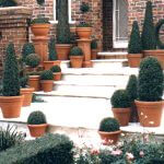 Standards and Topiary