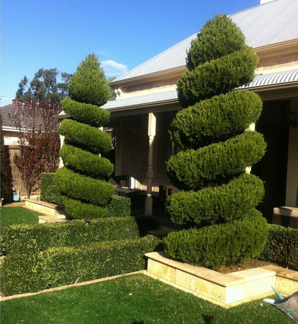 Topiary