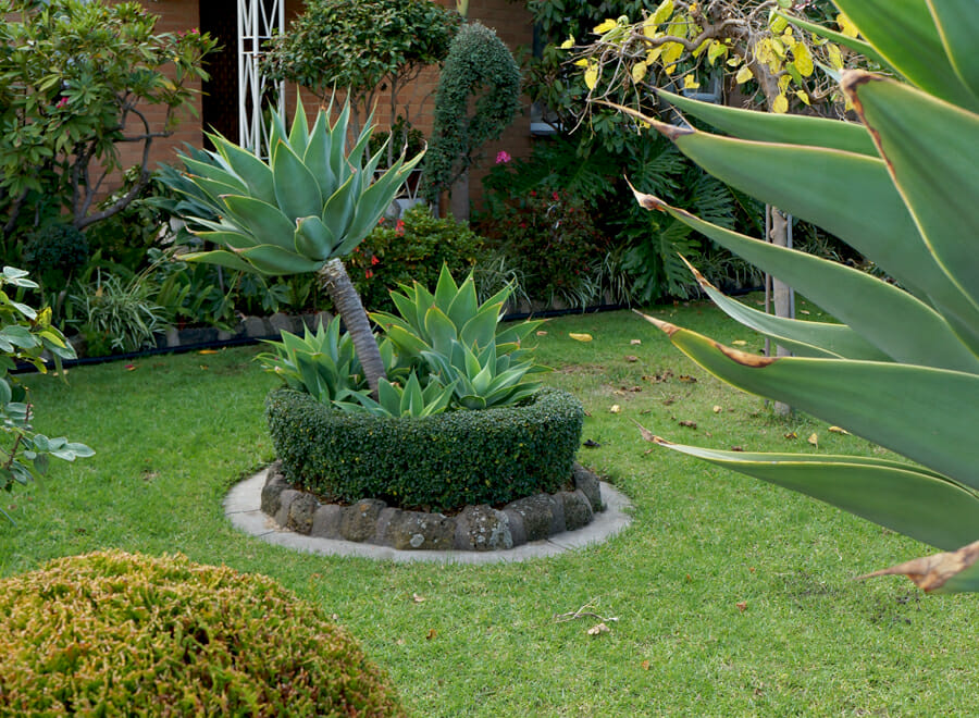 Round Box Hedge Garden Idea