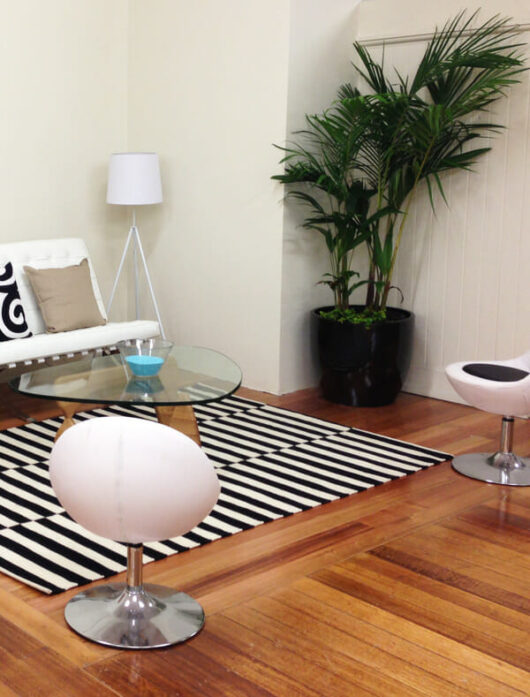 Archontophoenix 'Bangalow Palm'
