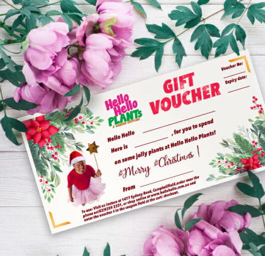 Hello Hello Plants Gift Voucher Christmas