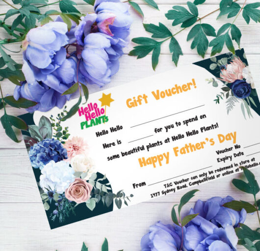 Gift Voucher Montage Fathers day copy
