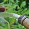 A yellow hose is watering a plant.