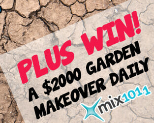 Win a Garden Makeover