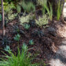 A small garden with plants and a wooden bench.