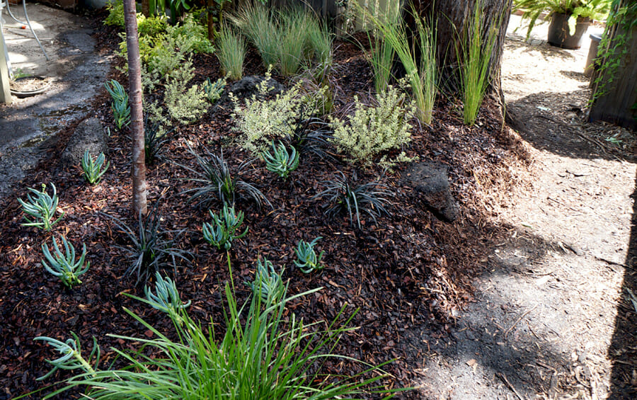 A small garden with plants and a wooden bench.