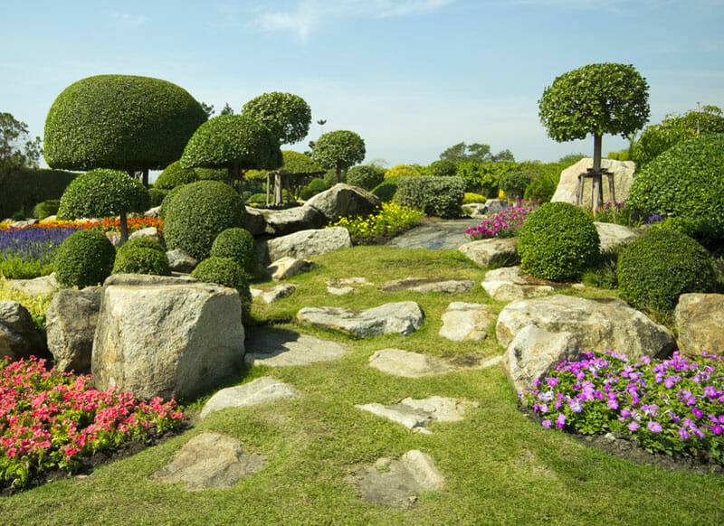 Rock Garden