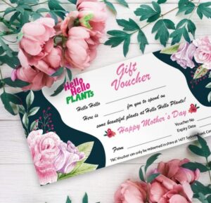 Gift Voucher Hello Hello Plants Mother's Day