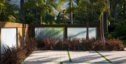 A modern backyard with Phormium 'Dark Delight' Flax 7" Pot and a glass fence.