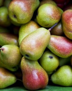 A pile of Pyrus 'Corella' Pears on a green background.