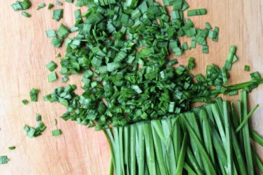 Chives 4" Pot