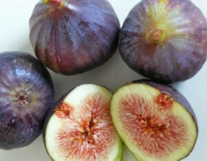 Ficus 'Black Genoa' Fig Tree 2L are cut in half and placed on a white surface.