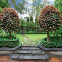 A stylish brick walkway leading to a garden.
