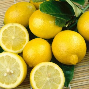 Fresh lemons from a Citrus Lemon Tree 'Lisbon' 10" Pot, some sliced in half, on a textured surface.
