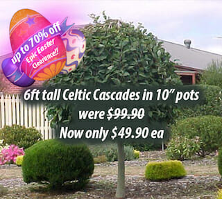 Celtic Cascade Epic Easter Sale