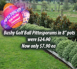 Golf Ball Epic Easter Sale