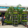 A store with a lot of plants and trees, specializing in Easter Clearance.