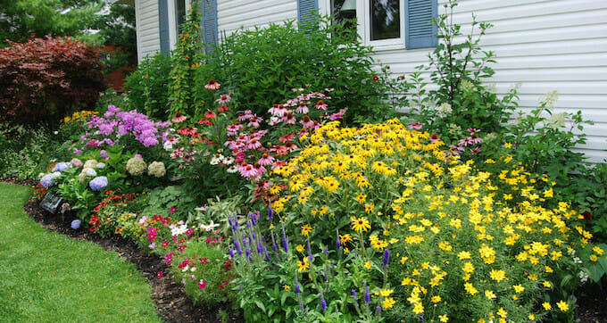 Flowering Cottage Perennials