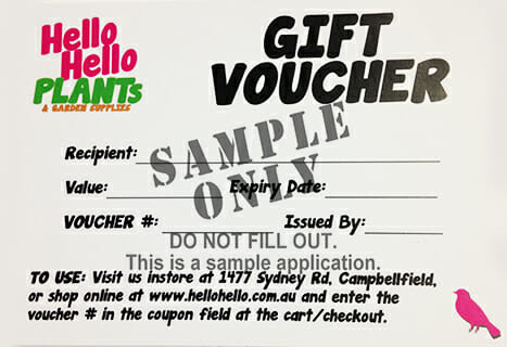 Gift Voucher