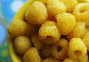 A bowl full of Rubus 'Yellow' Raspberries on a colorful table with yellow accents.