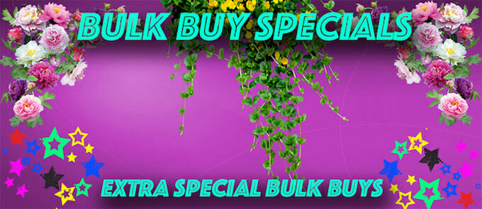 extra-special-bulk-buys-new-2