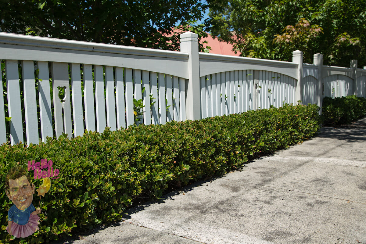 Low Hedge (up to 1m)