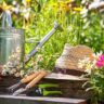 Save big on gardening tools and flowers displayed on a wooden stump.