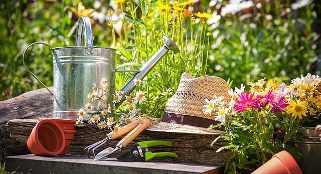 Save big on gardening tools and flowers displayed on a wooden stump.