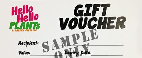 Gift Voucher copy