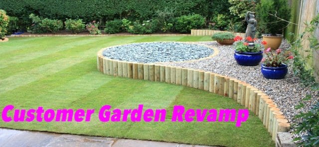 Andrea Revamps Her Garden!