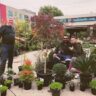 A group of three people sharing customer stories amongst various potted plants at a garden center.