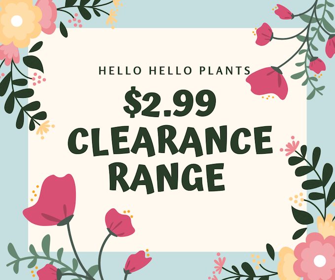 $2.99 Clearance Sale