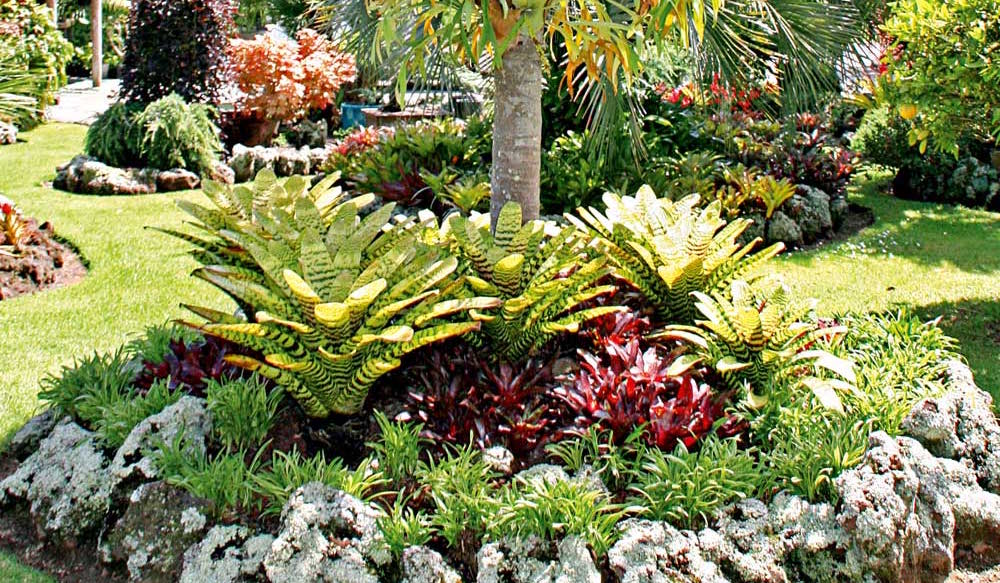 Tropical Garden