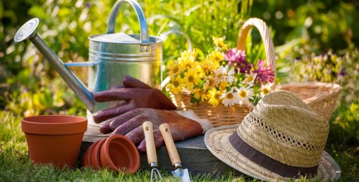 Why Summer Is The Best Time To Plant?