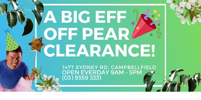 Big Eff Off Pear Clearance