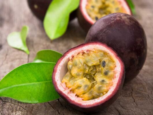 Passionfruit "Fruiting"