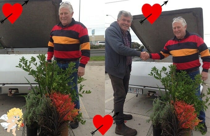 Horticultural Romance Pic