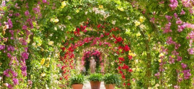 Horticultural Love!