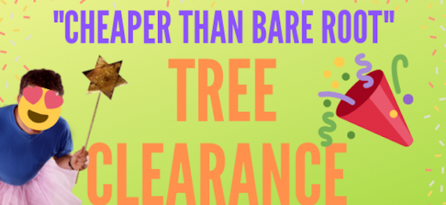 Cheaper Than Bare Root Tree Clearance!