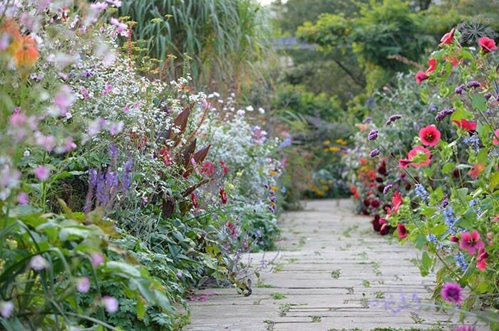 A wooden boardwalk meanders through a lush garden dense with a variety of colorful flowers and greenery, all within the affordable $2.99 price range.