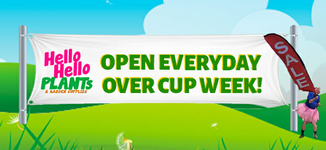 A colorful advertisement banner saying "hello hello plants - overstock sale open everyday over cup week!" set against a cartoonish green landscape.