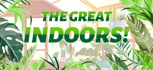 Graphic banner titled "Great Indoors!" featuring text centered over a backdrop of lush indoor plants and a blurred living room setting.