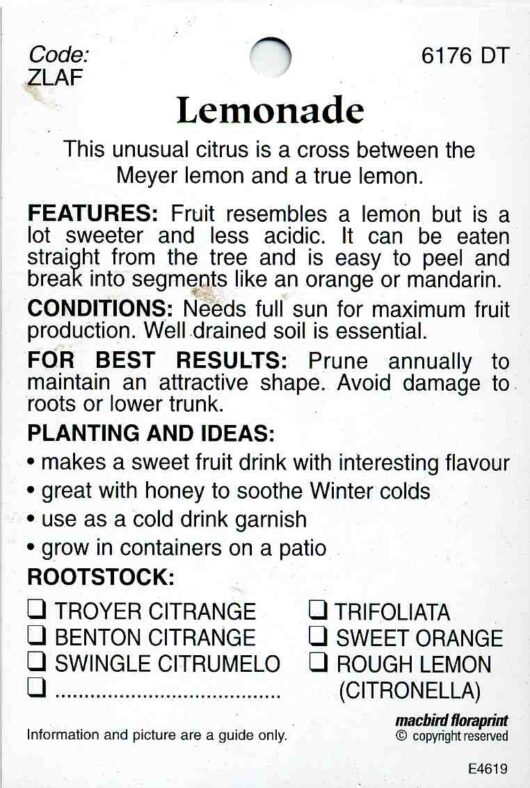 Image of a Citrus Lemon Tree 'Lemonade' 10" Pot label, including features and instructions on growing a Citrus Lemon Tree. Text and illustrations depict citrus fruit and tree maintenance tips.