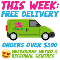 Free Plant Delivery Metro Melbourne and VIC