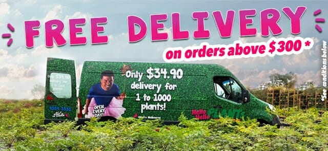 Promotional image of a green delivery van with a driver smiling, advertising "free plant delivery on orders above $300" for plant deliveries, in a rural setting.