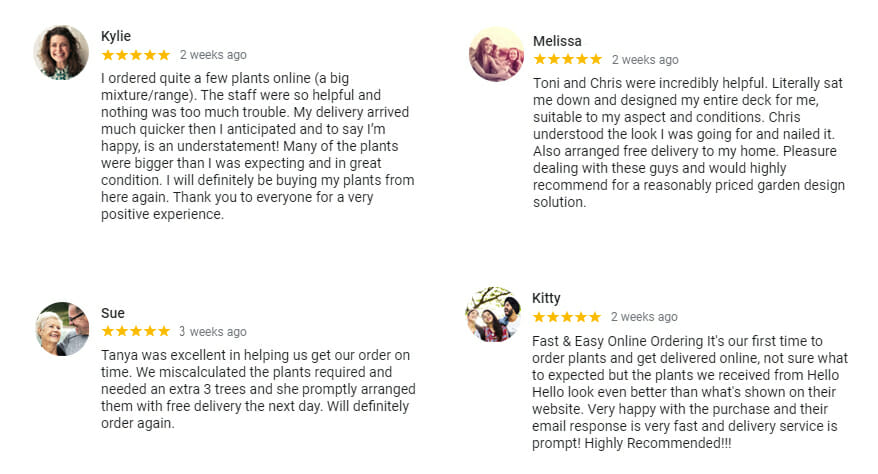 Hello Hello Delivery Positive Reviews