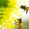 A bee flying near a flower with text overlay "Bee Day May 20" on a bright, blurred green background.